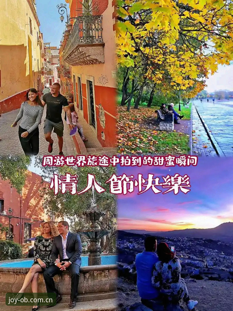 熟悉的快乐瞬间安卓下载实用指南：从安装到追踪赛事的完整攻略